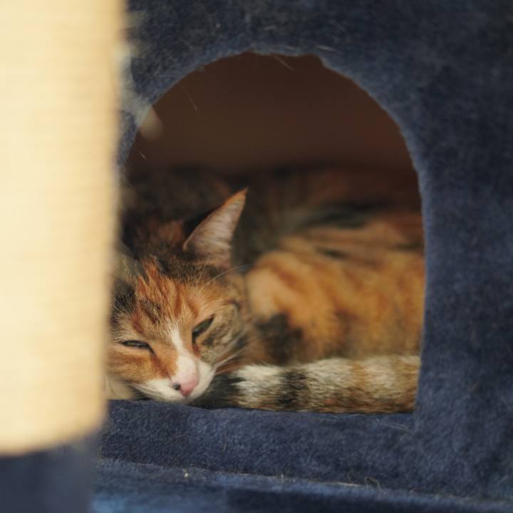 559e00ad d303 42a6 8499 d9b32fffdeb1 1625491023967