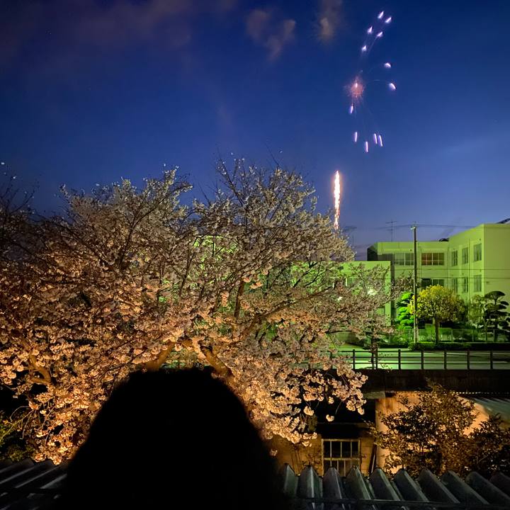 559e1e15 0ddd 47d8 ac74 58ce2be559ab 1648906878909