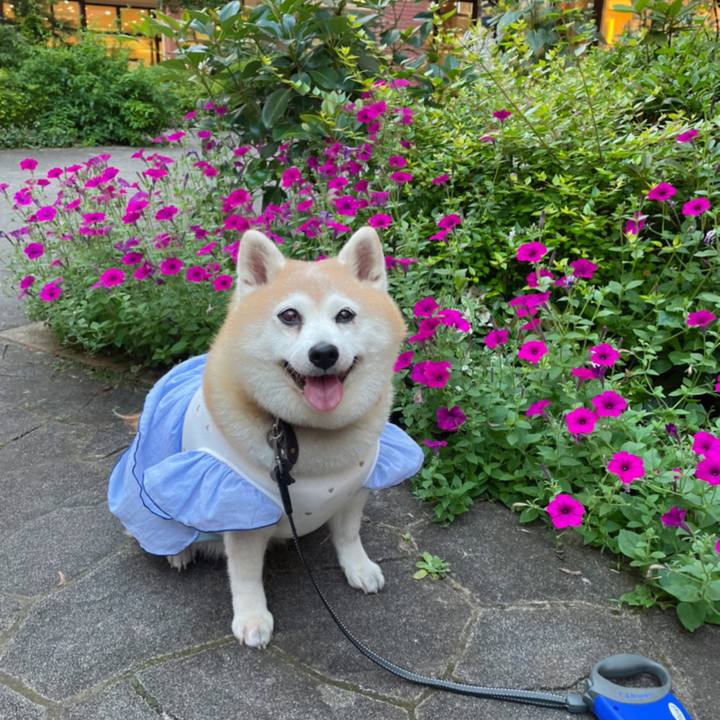 559e2326 ce17 4e5b ad2a fecbfc5bc8c9 1627102200680