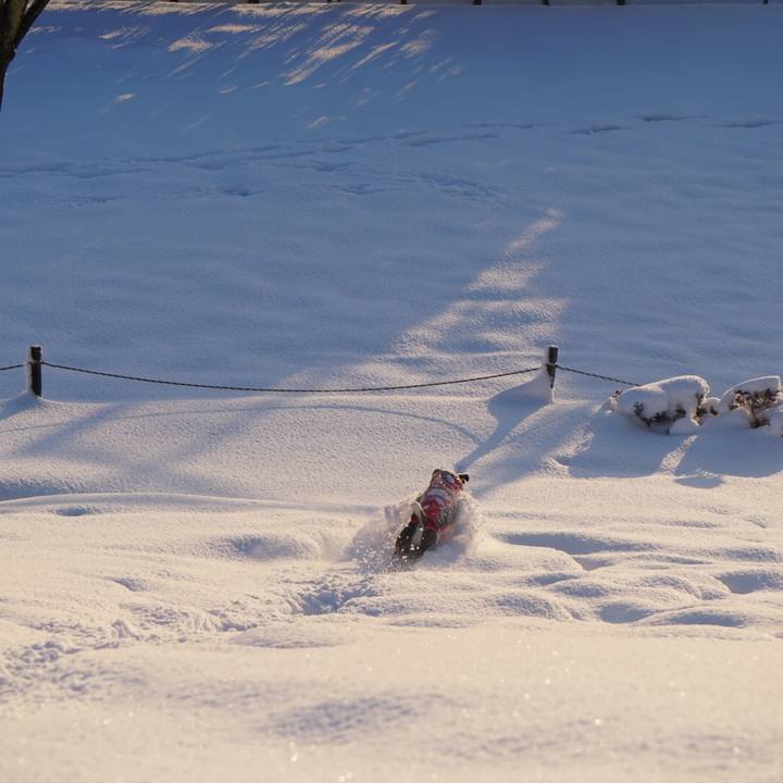 559e3a54 076e 49fa b0c5 d672a28ee15c 1517280747022