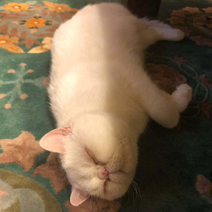 559e3c66 2b2a 48ce 880b a0a52e58a271 1600870383071