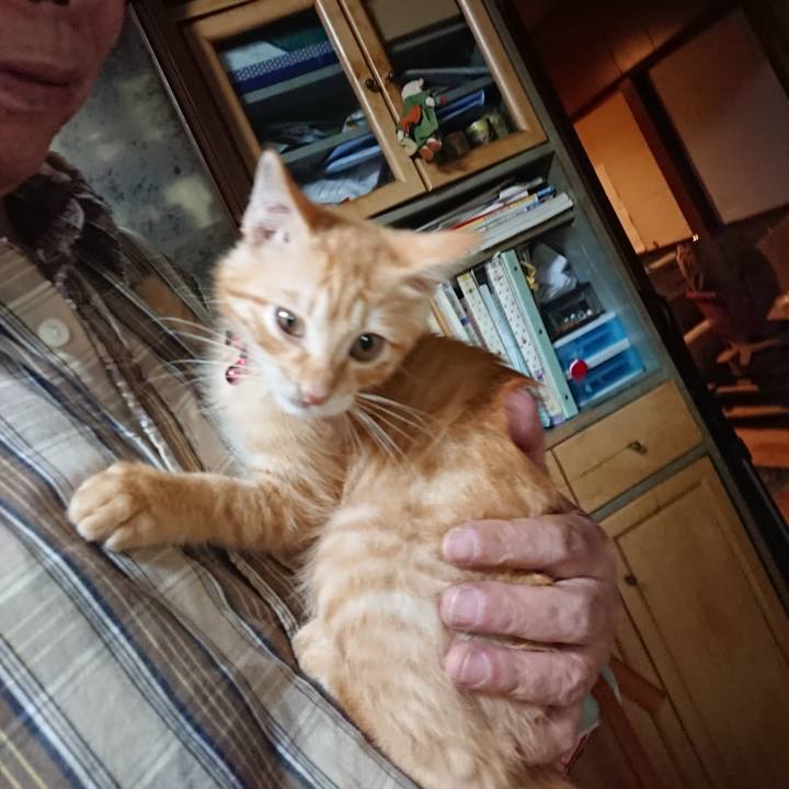 559e4485 e695 4182 8d2c 0cf5a2917d50 1630758484433