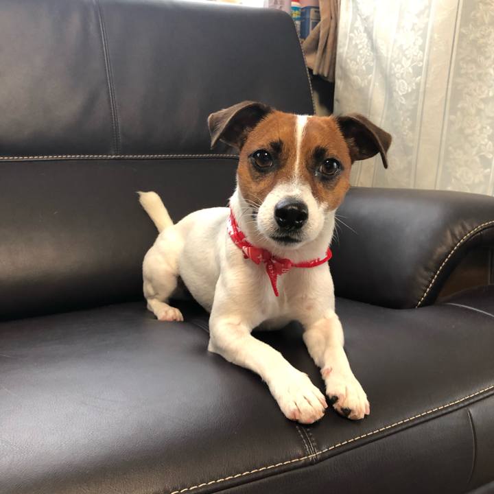 559e469f bb5b 4a4d 93d3 721fb86a46b6 1594372554546