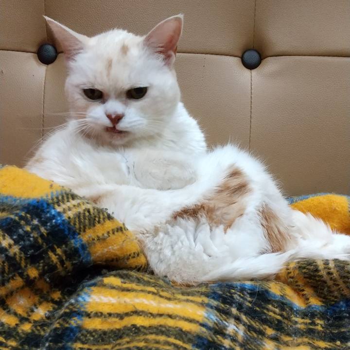 559e58fa d2eb 45cd 9cf8 58636af19889 1643805729395