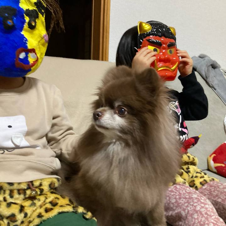 559e803f 2dc7 4573 8e00 023244f74556 1675470754981