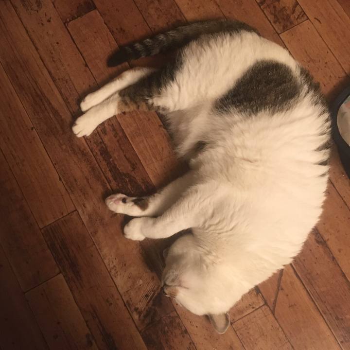 559e8e9c 4722 4f08 b39e 4ce670dafa76 1621248928598