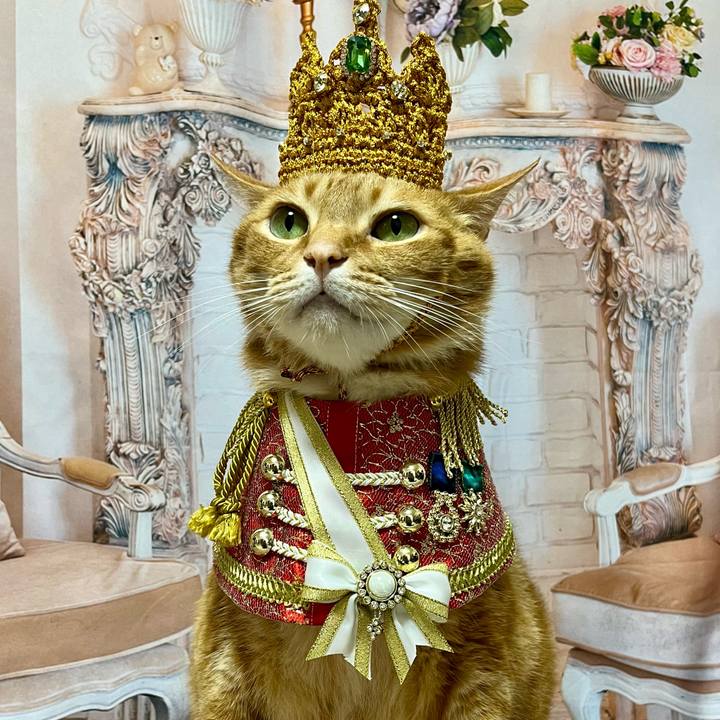 559ec65c f129 4928 9f64 1cf02f9a41a9 1687174097482