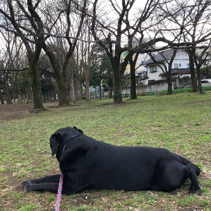 559f2d20 67ac 487f b5f9 34d2cec45f4d 1583737577579