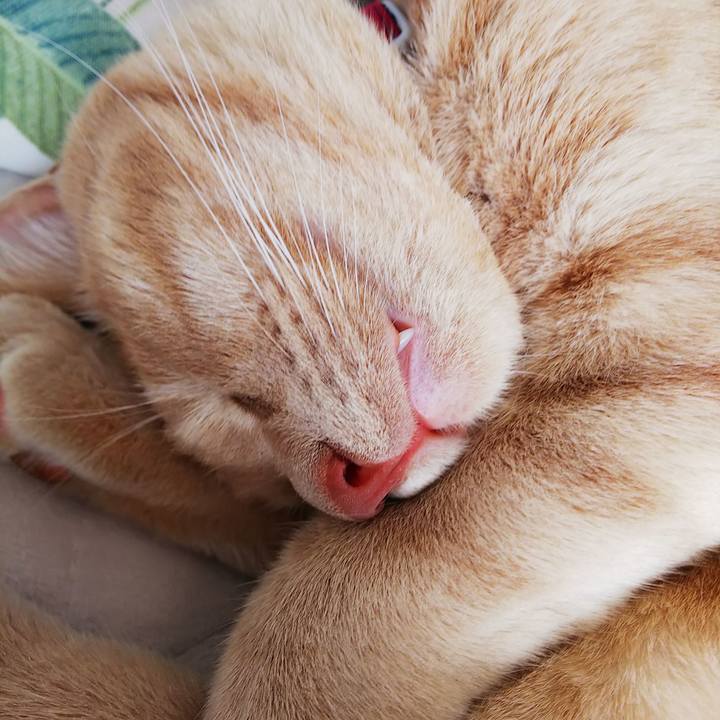 559f5d00 c67f 49c2 9f22 f40e30d5cc9d 1563672501973