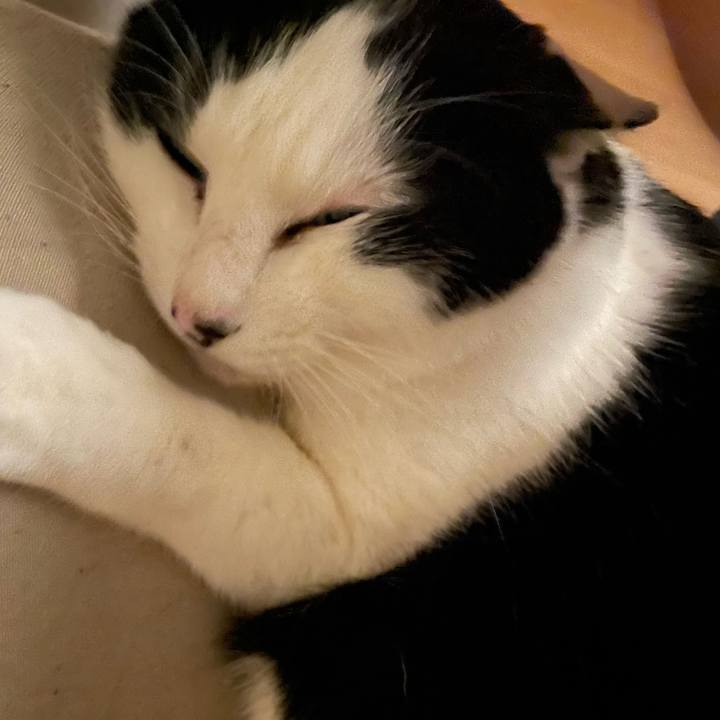 559f8f21 49f8 481f bda8 9243d7216c70 1704814932198