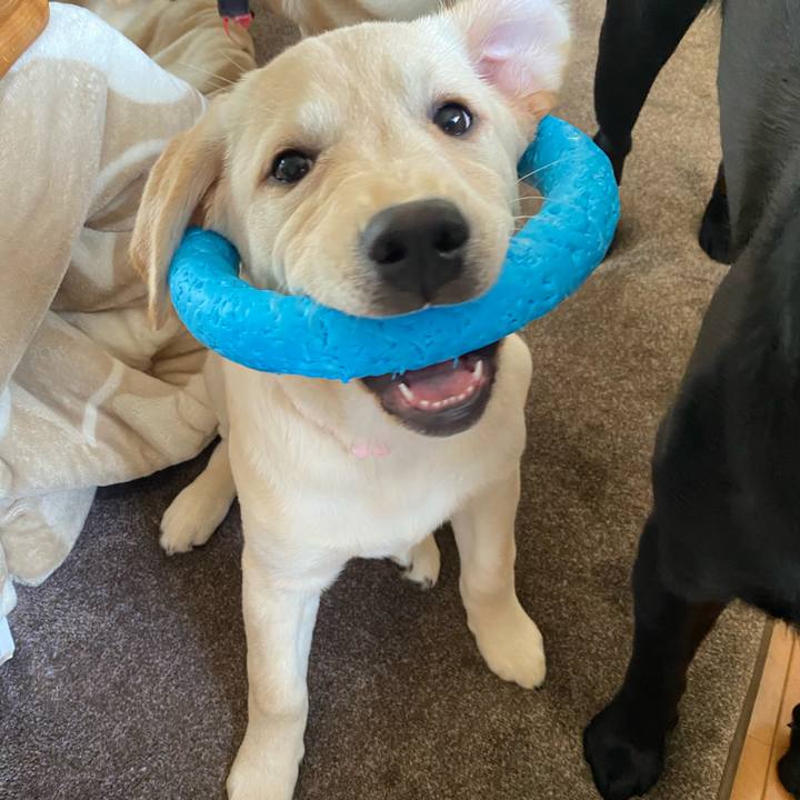 559f9020 e896 449c b8f2 6d68cd6ee216 1614494893914