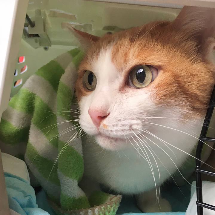 559fa365 eda6 4e0a 8373 61c7c1b3be35 1574321237835