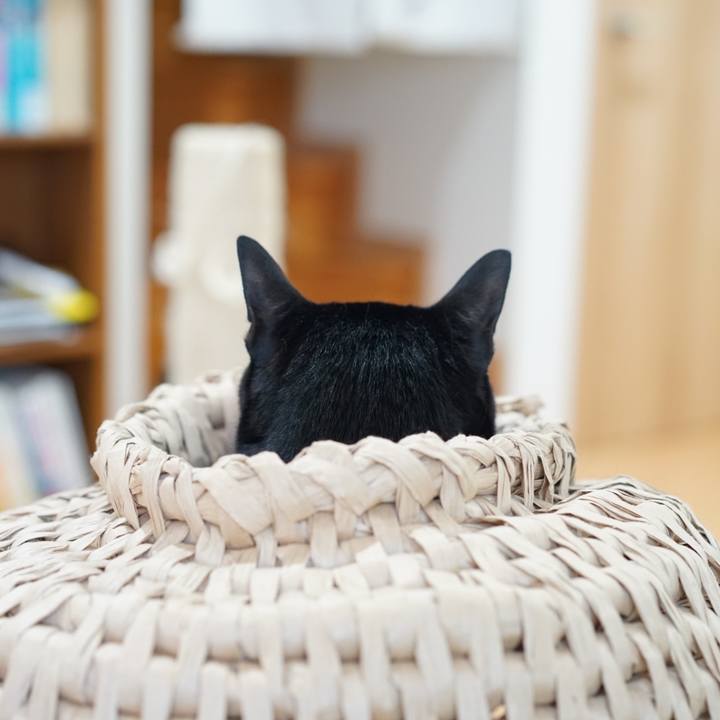 559fca1c 076c 4d82 b666 b43a15bd0633 1557185090724