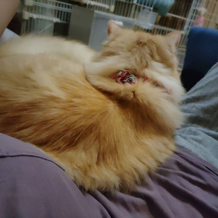 559fd960 c976 4a68 a3b1 7503441795df 1687443554684