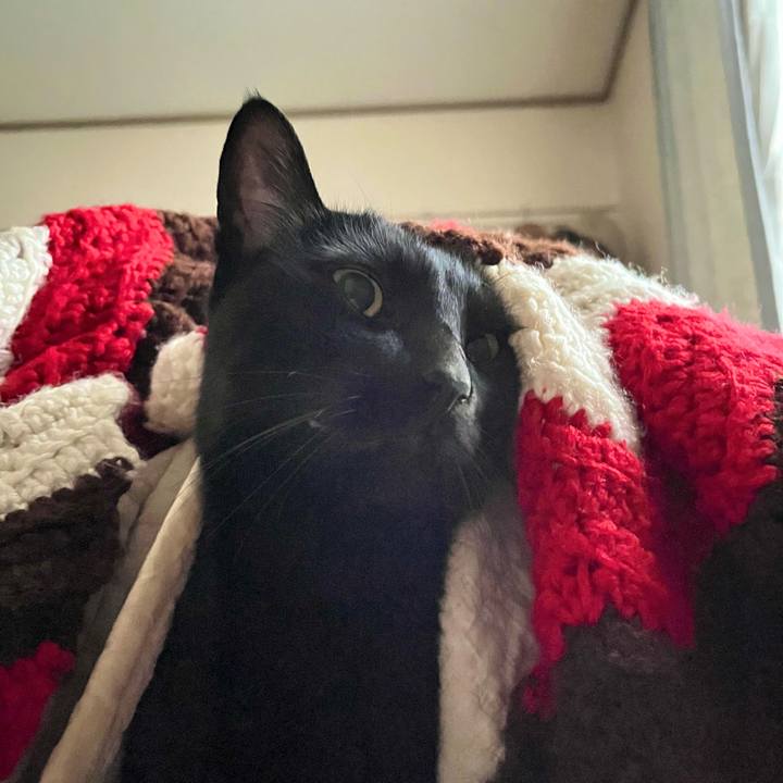 559fdf28 8aa9 459b 8fdb 46be040001a5 1674524179449