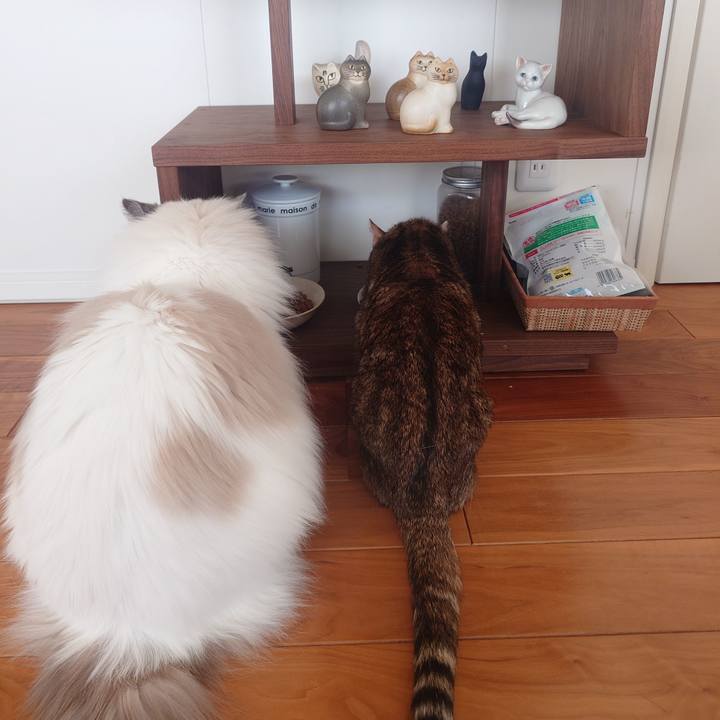 559ffe3b 7820 4f0a 9689 2a40a620bf7b 1768302427510