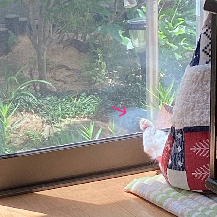 55a026f7 051c 4ddc ad43 241f4de5e75d 1658281858095