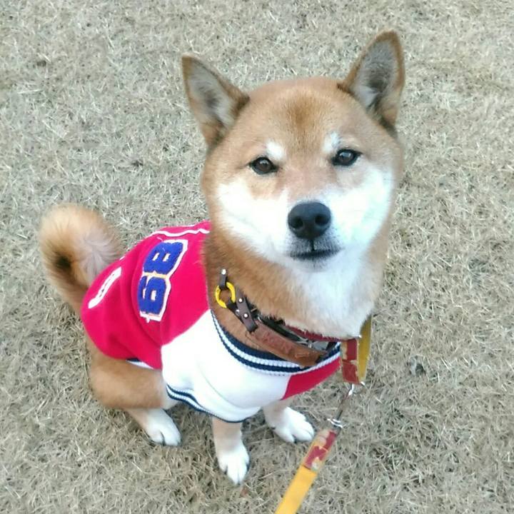 55a07e06 c2bb 4dd2 a7c5 44860697d9c6 1577278410129