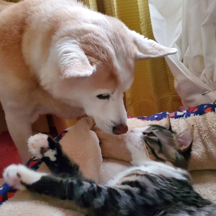 55a09210 a25d 4415 8013 565f7ef8eb78 1643727964344