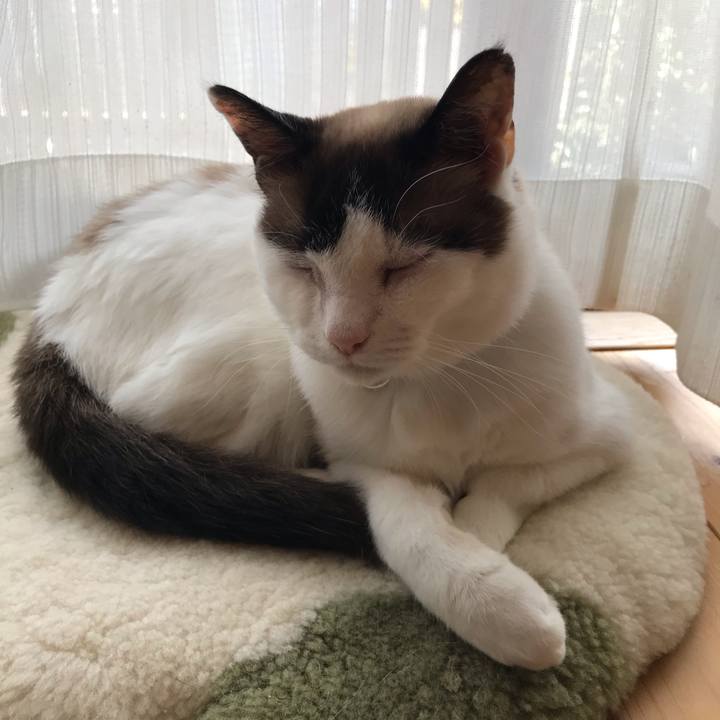 55a0bc51 85fe 4886 acd8 59d9ace9e771 1621909996274