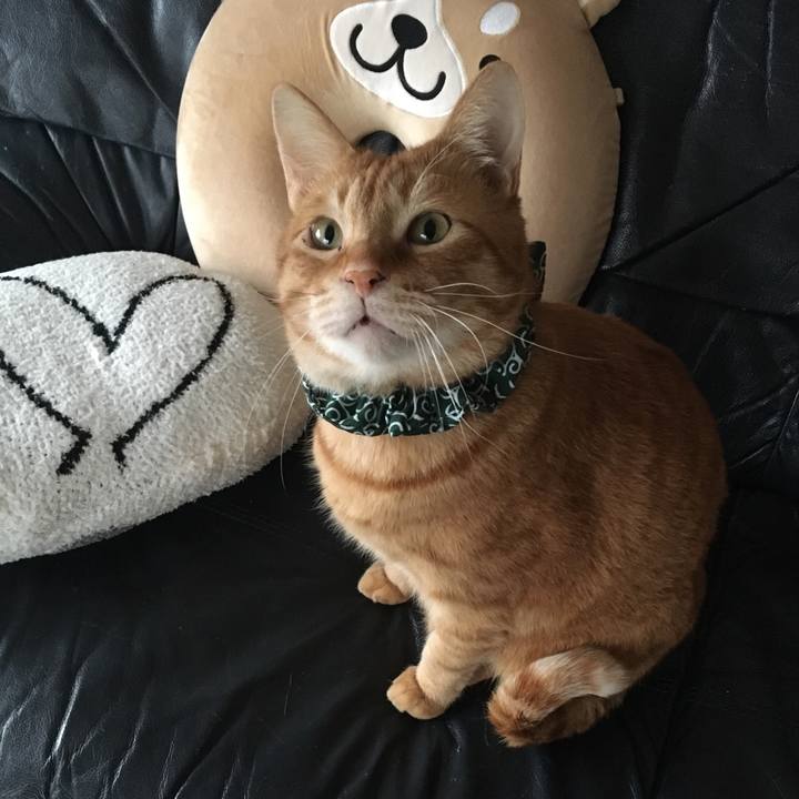 55a0da77 3caa 471a 98e3 55656570d167 1552128030272