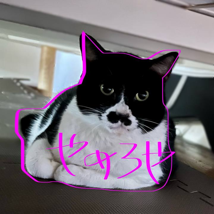 55a0dc33 d631 42fe b000 67eaee05f921 1710510155413