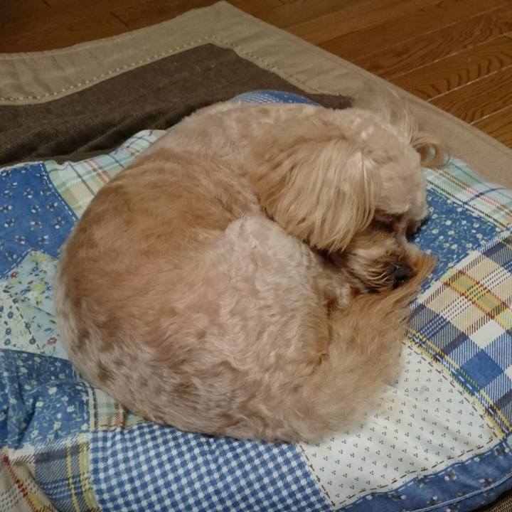 55a129cc dbaf 4ac5 8563 4902e1863d89 1565444478008