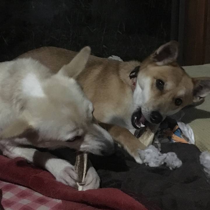 55a14b6d 35df 4cc6 afe7 6f3078f41d06 1516372952635