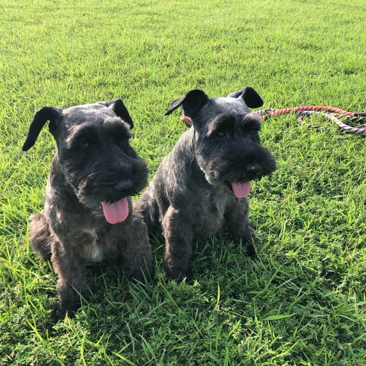 55a158d7 875b 426c 925f 55494d2a9094 1537172103578