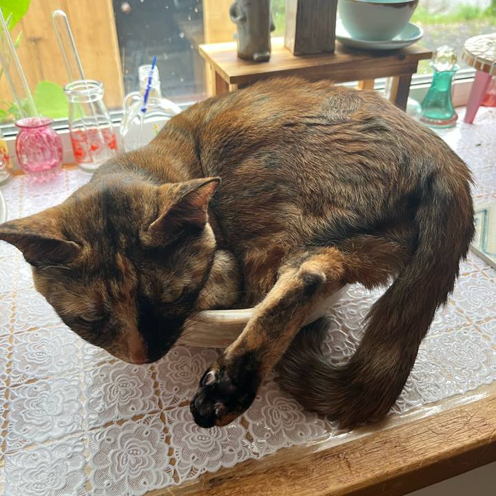 55a16fba 1a29 450a 9fea a742646cae22 1691098114276