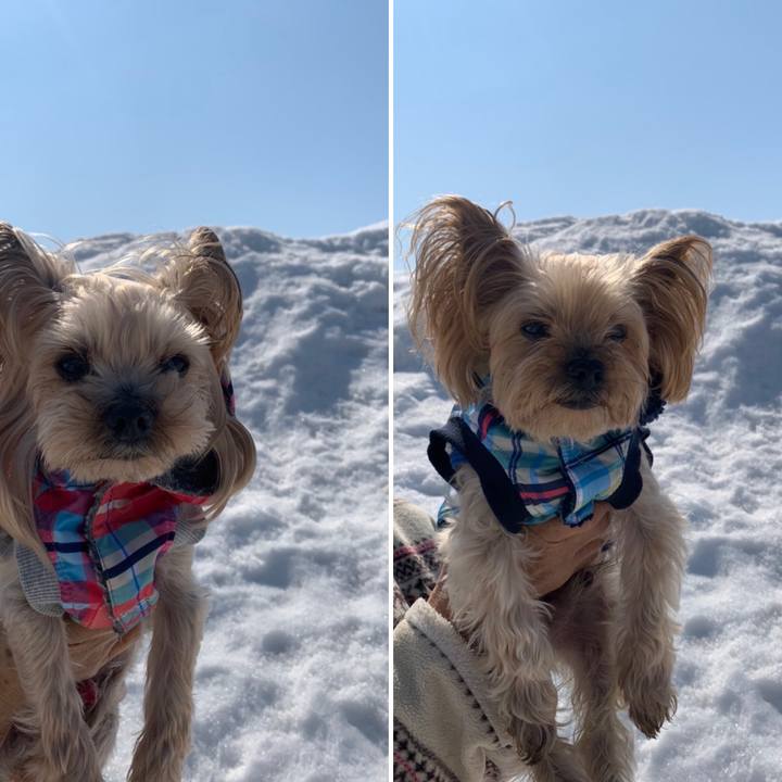 55a19bad 558b 447a b389 76a218f9b7f4 1647249721907