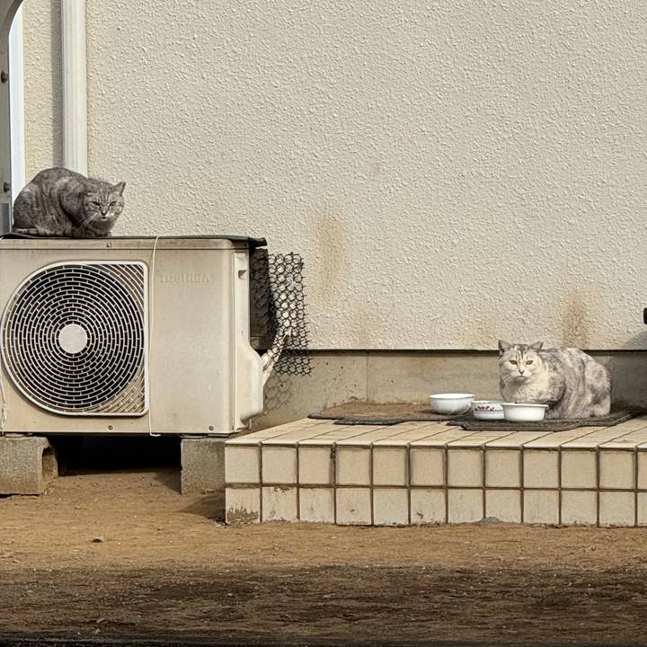 55a1a408 6b04 4fc6 ac59 b43a8f14747a 1770949890921