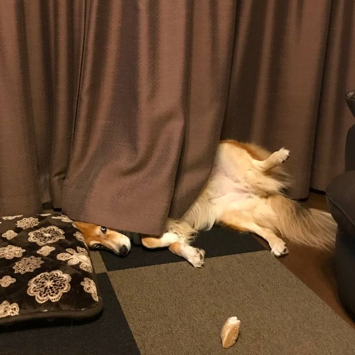 55a1d339 8aa8 41b0 99f3 4adeac7918c1 1512992789501