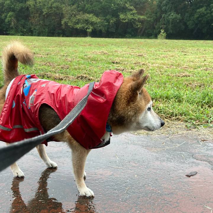 55a1e51b 7f9b 4a3b abc2 c5e752fb86c9 1757038878300