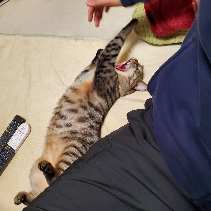 55a1f562 8717 43d6 90c6 f97f35482adf 1700403344461