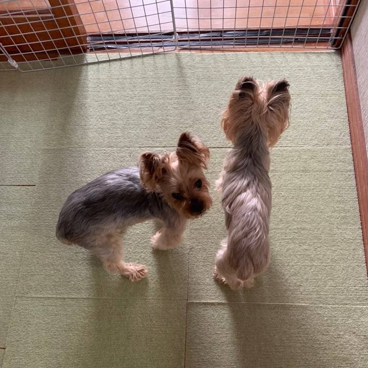 55a1f909 bcbb 43e6 959f f49d768351ef 1655200517602