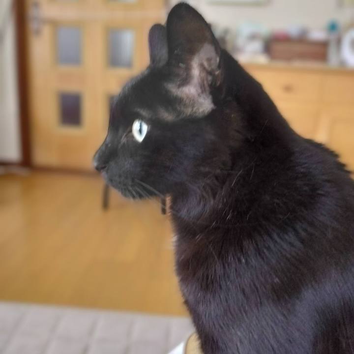 55a1fd84 ceec 4235 894c f3edb1c1e93e 1714865029677