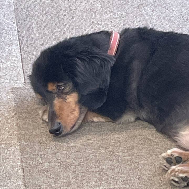 55a214a9 aaf6 4f99 8119 3425d20d3707 1641777916529