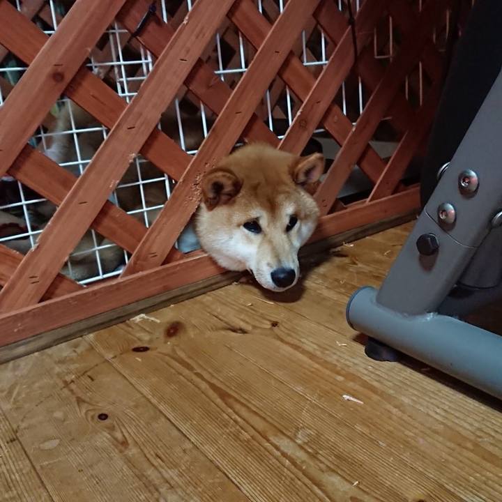 55a26cfe 6f61 4af8 9352 e80b20fbd508 1519009771958