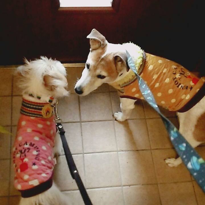 55a28e25 85a1 44d2 b1ff 41d576db2ef5 1516517754469