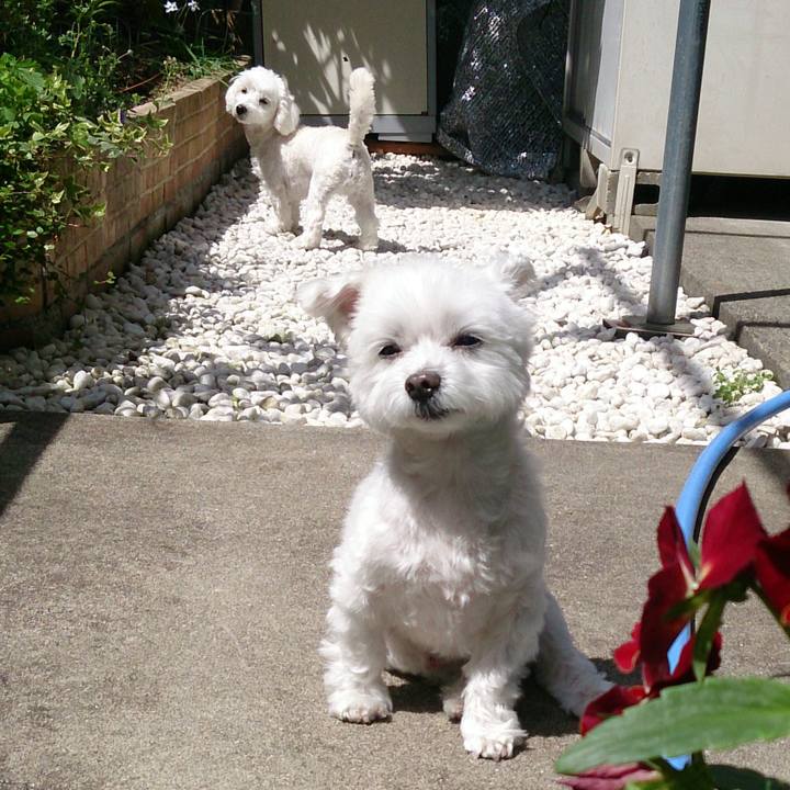 55a2bf7f b1a1 4a09 90b5 6753a46b98f5 1523278224750