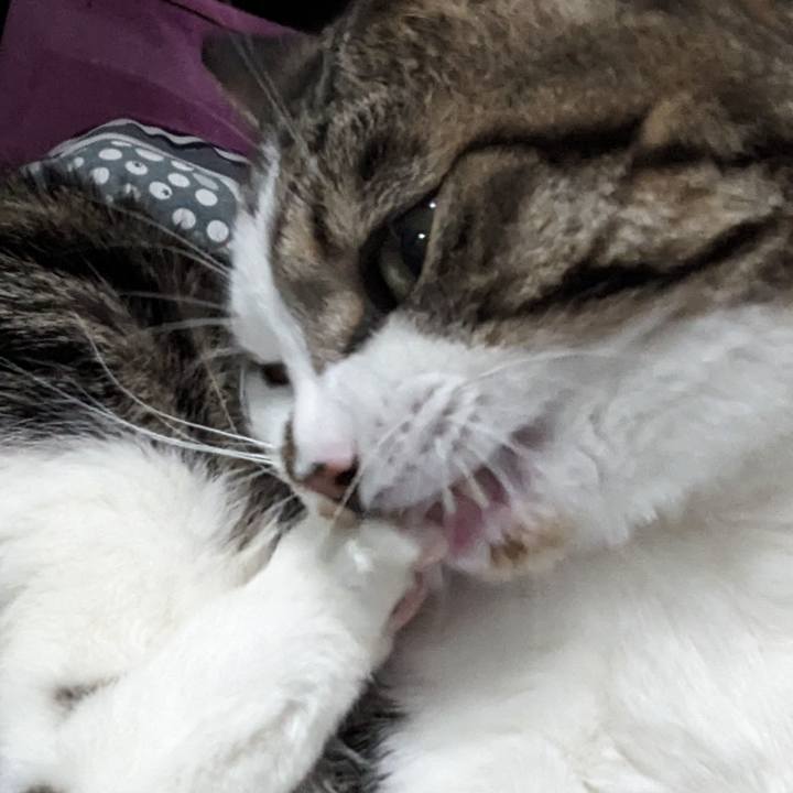 55a2c4d9 c02f 4c9a 9b4a b5cfe022c70f 1691143116061