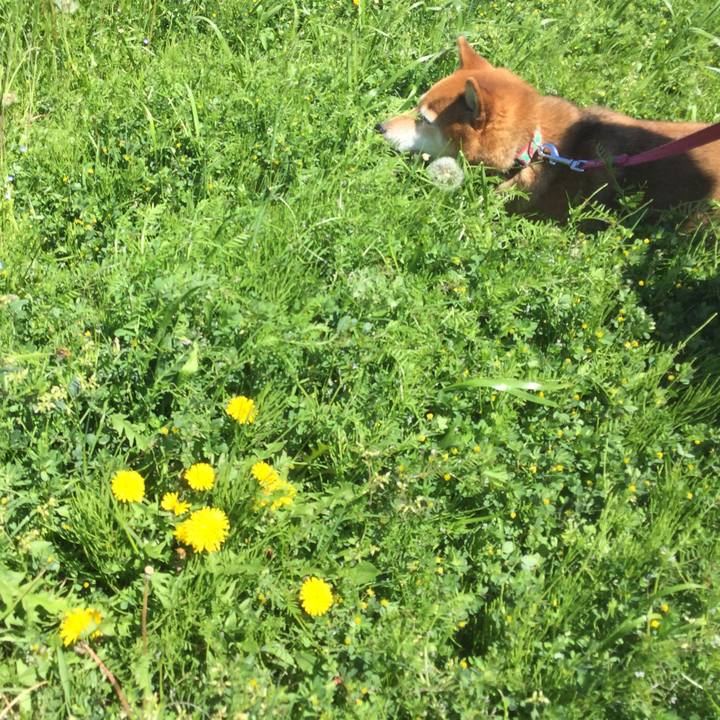 55a311af eec8 43d6 890a 742d12bb0bbc 1587267095204