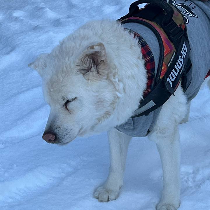 55a35c06 23a4 4abd aab9 ed0953d1713b 1769037809055