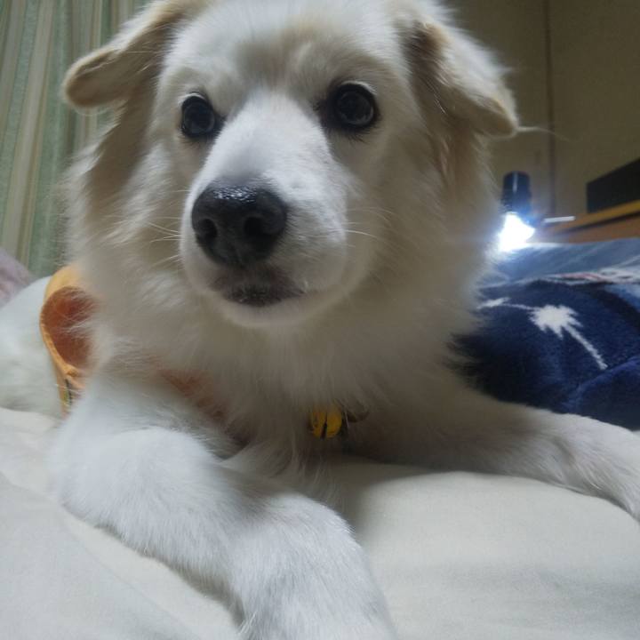 55a36503 31ff 46d6 a0ea 6b10e3a59ab8 1638849165509