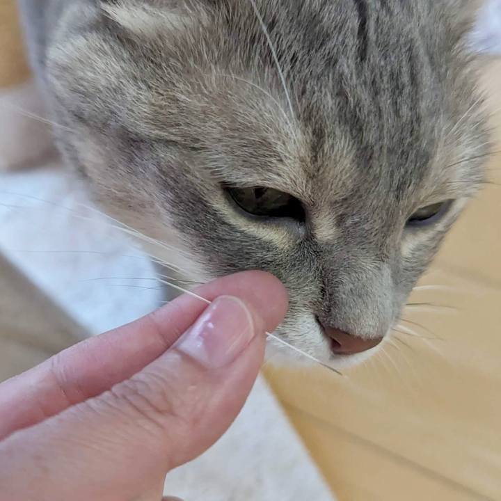 55a36e34 30af 4738 a46f 3492e22262e4 1697169495190