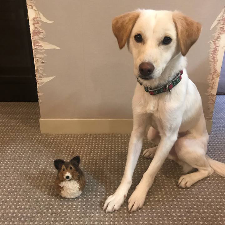 55a38b2a 87ef 428a 9476 6ead5c9cb29a 1515934005224