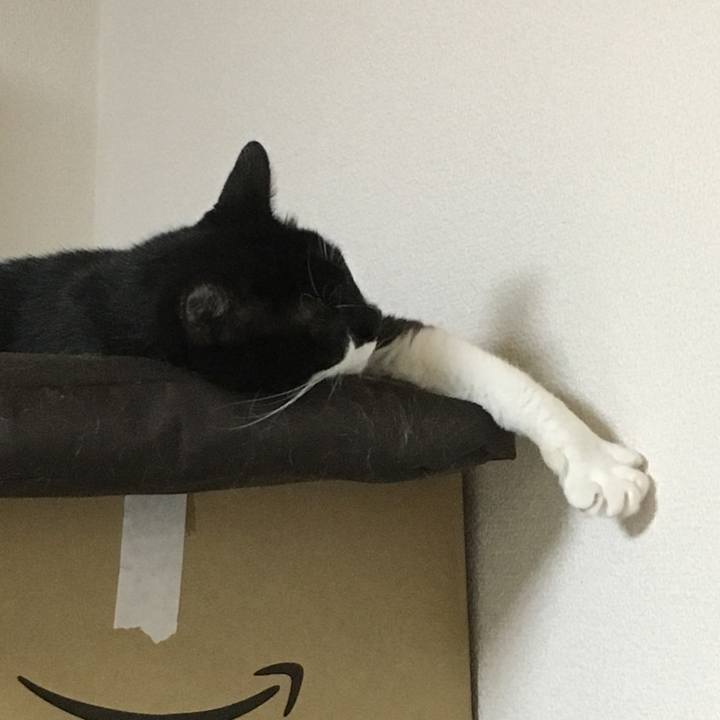 55a3d952 d3da 47ec ade1 a67876902e5c 1535102055718