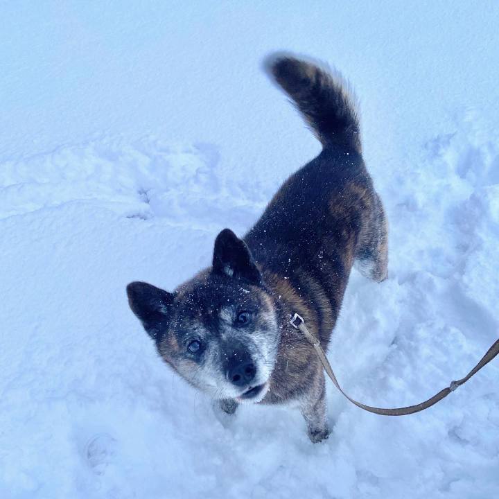 55a3fedc 10b9 4194 b660 0426f4baa414 1644014526420