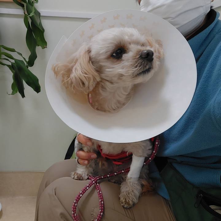 55a408de 8828 40dd bdda ac6bde0517b5 1671534535430